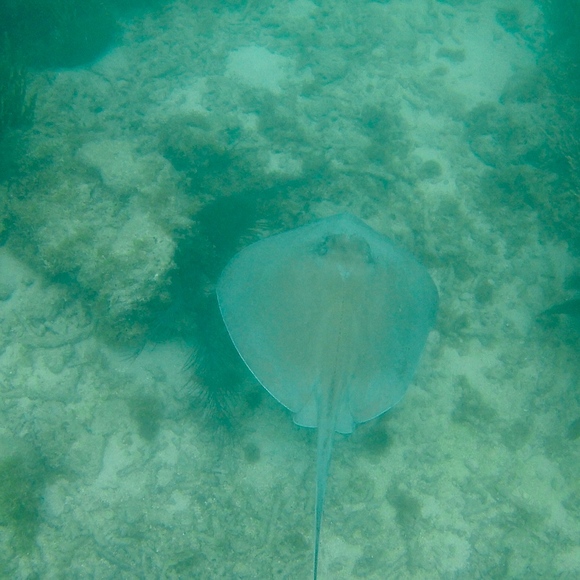 Meet your Posher - Picture 7 of 8